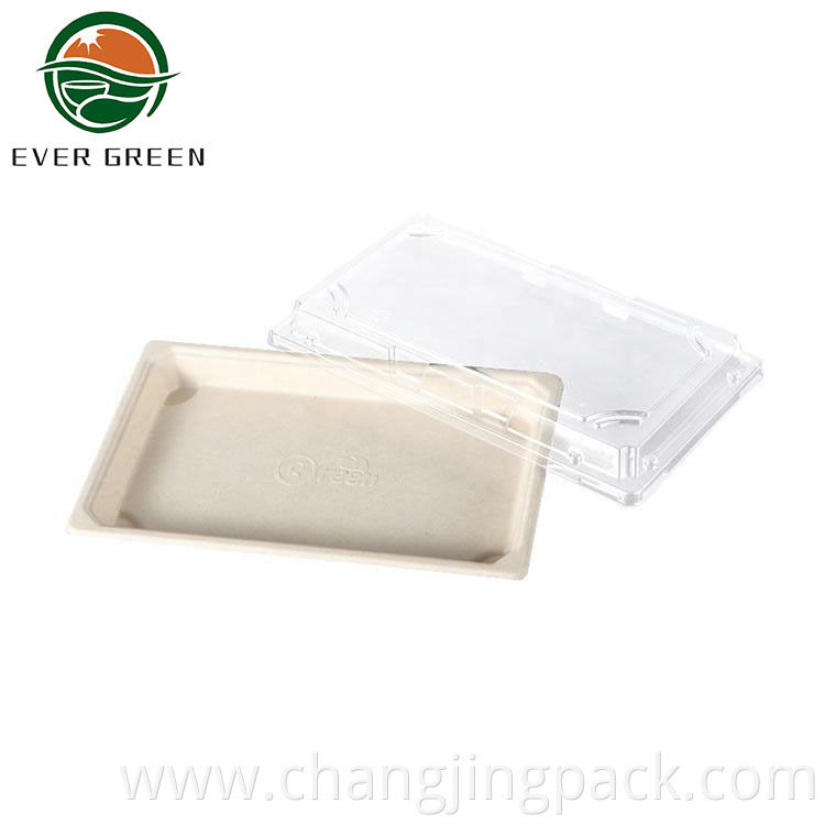 Biodegradable Recycled Microwavable Food Pulp Tableware Tray